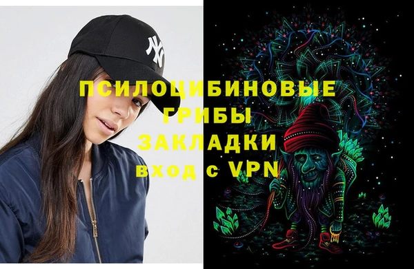 шишки Козельск