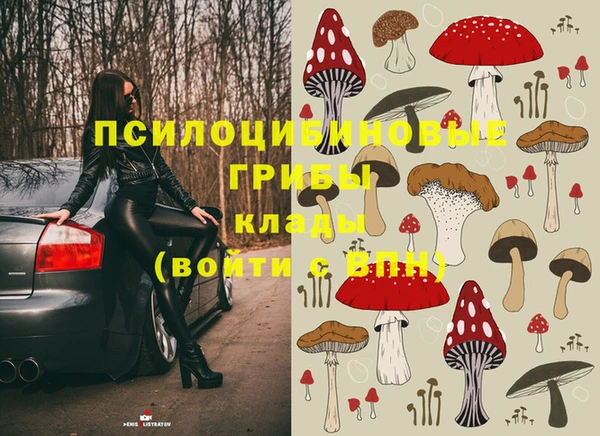 соль курить ск Козловка