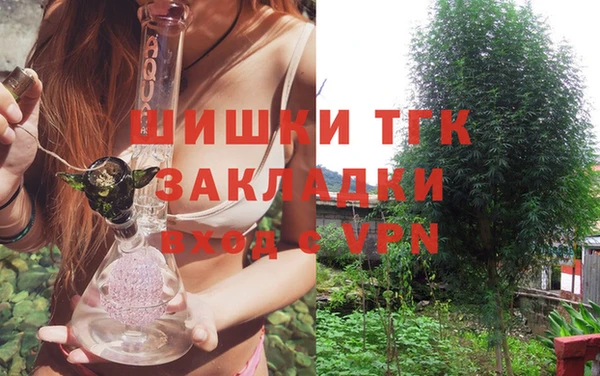 шишки Козельск