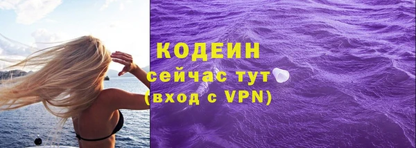 шишки Козельск