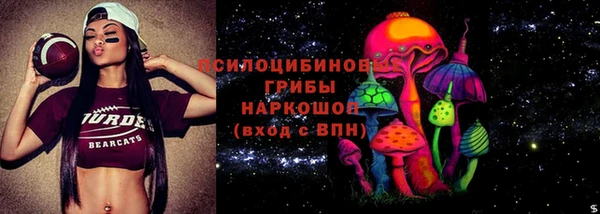 шишки Козельск