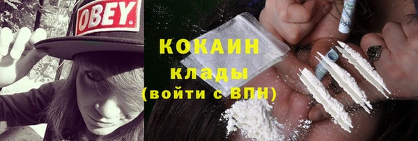 шишки Козельск
