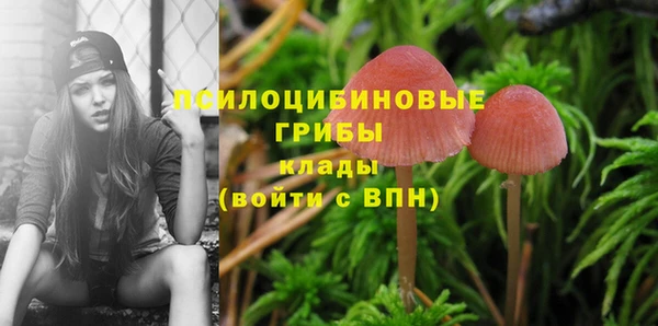 шишки Козельск