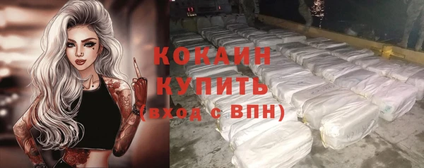 шишки Козельск
