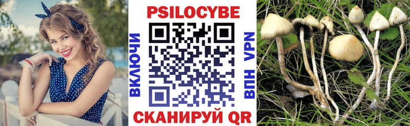 Купить  Новокузнецк  Псилоцибиновые грибы GOLDEN TEACHER 