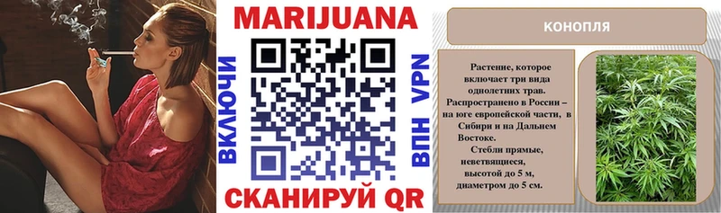 Купить закладки  Новокузнецк  Шишки марихуана LSD WEED 